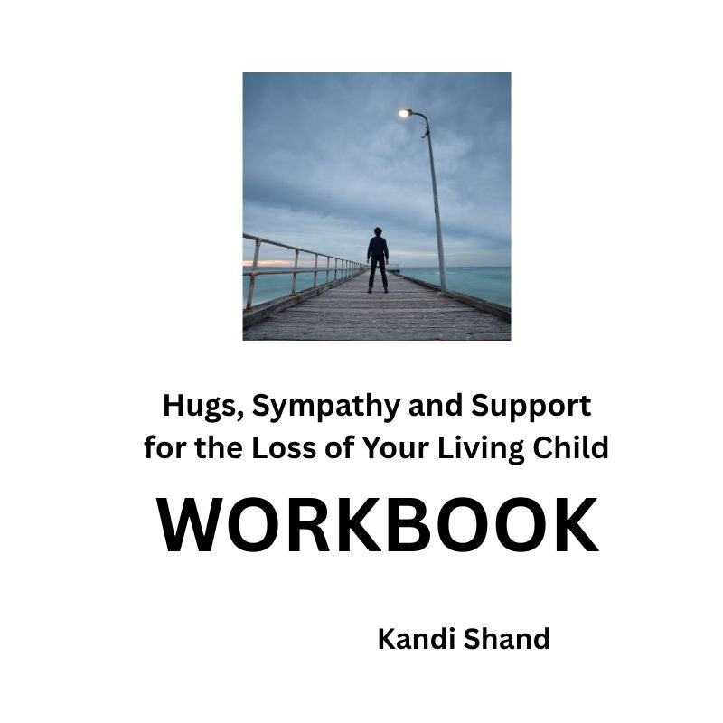Hugs, Sympathy and Support for the Loss Of Your Living Child - WORKBOOK ebook