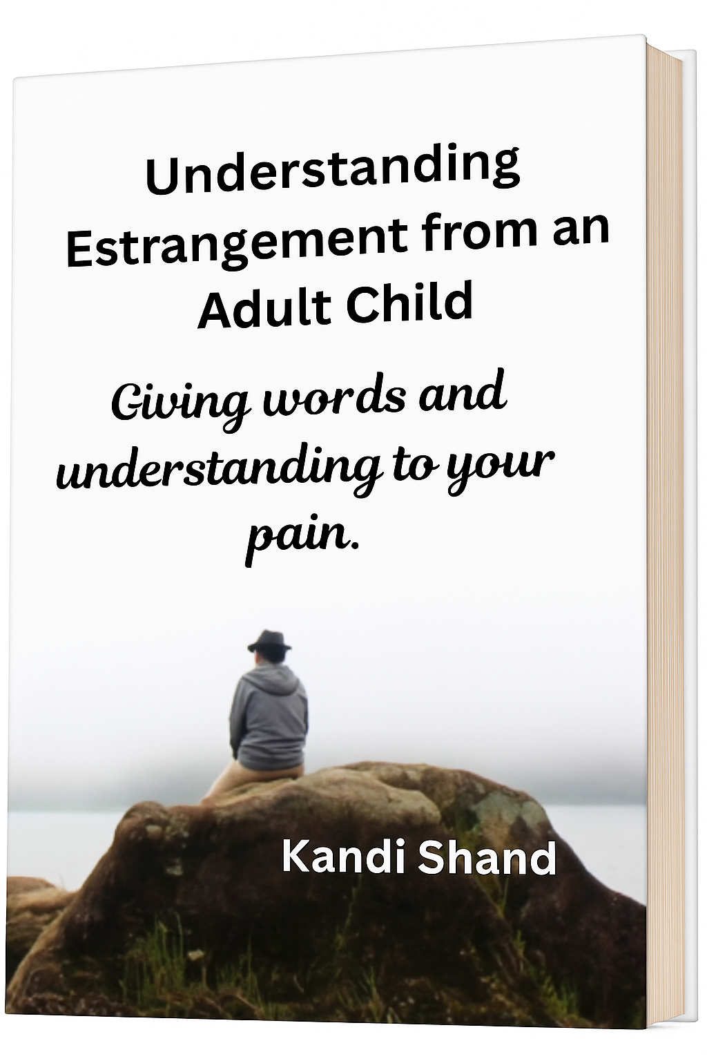 Understanding Estrangement from an Adult Child (Paperback)
