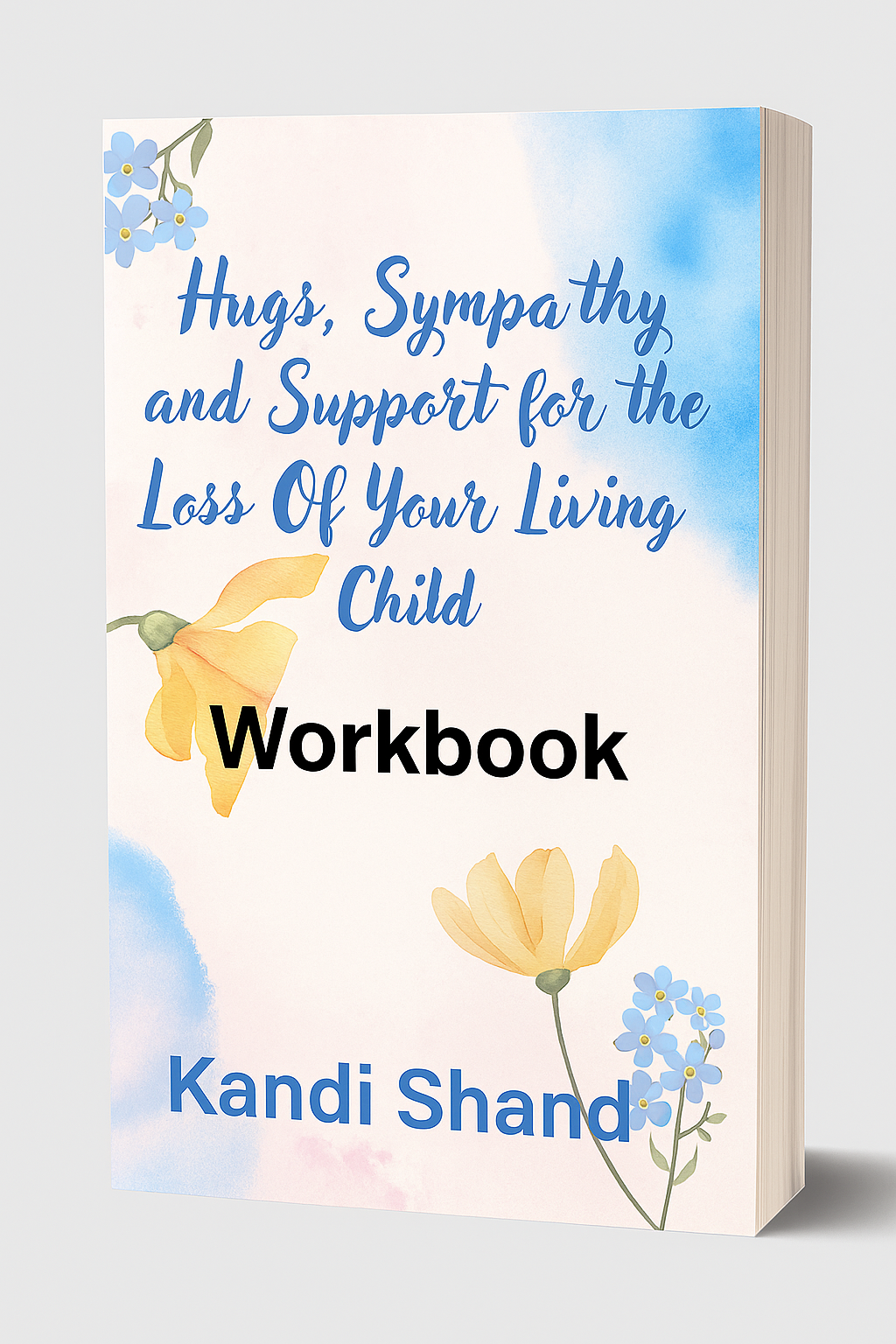 Hugs, Sympathy and Support for the Loss Of Your Living Child - WORKBOOK Paperback