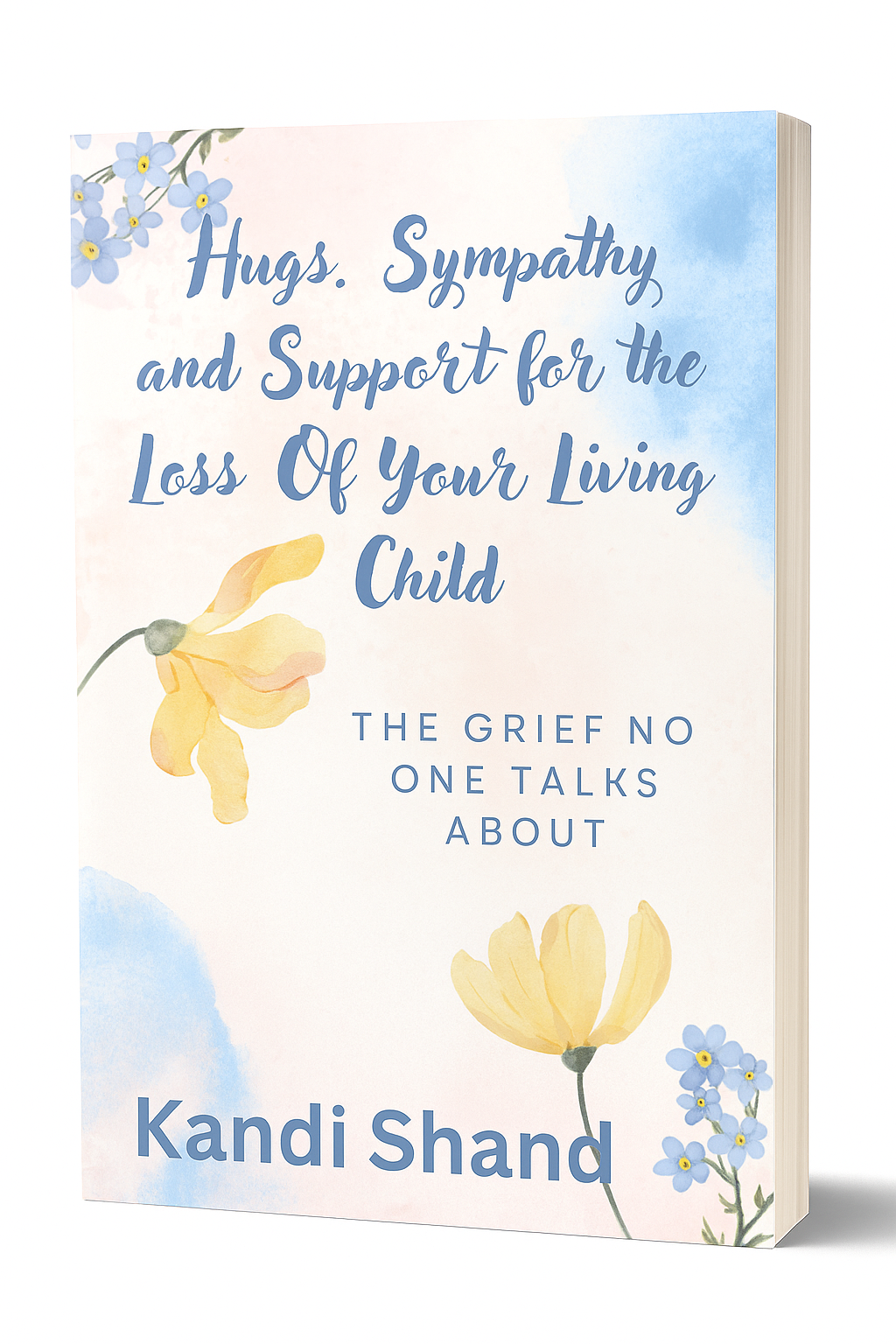 Hugs, Sympathy and Support for the Loss Of Your Living Child: The Grief No One Talks  Paperback